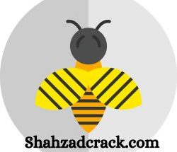 Bee Dictionary Latest Free Download