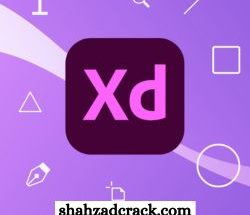 Download Adobe XD CC