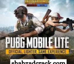 Download Pubg Mobile PC 2019
