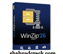 Download Winzip Pro