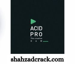 Magix Acid Pro