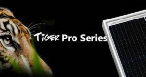 Tiger Pro Fee Version