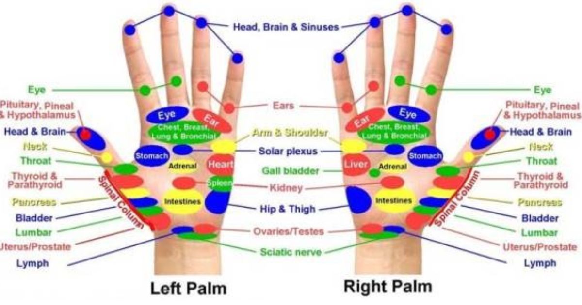 Acupressure Point Therapy 