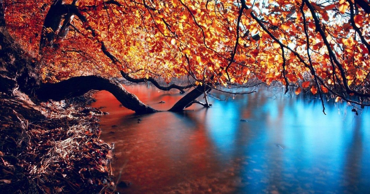  Autumn Desktop Wallpaper