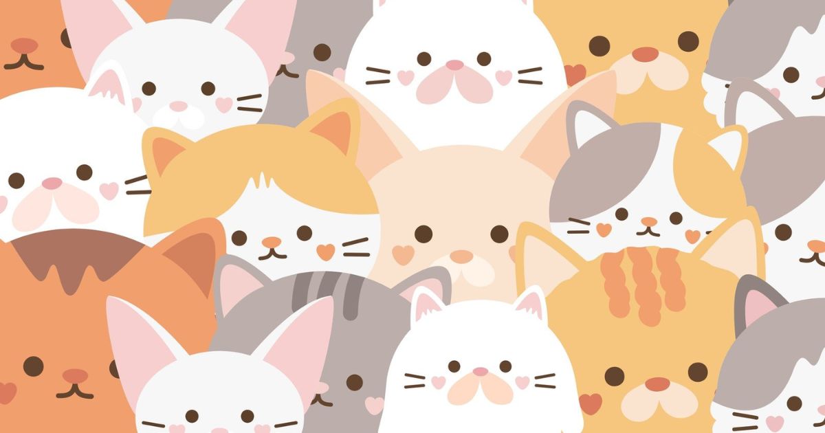 Cat Desktop Wallpaper 